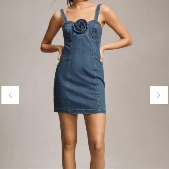 Anthropologie Porridge Rosette Denim Slim Mini Dress feminine romantic - Picture 1 of 11